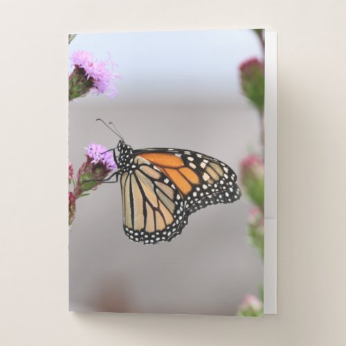 Monarch  pocket folder