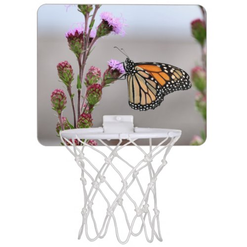 Monarch  pocket folder mini basketball hoop