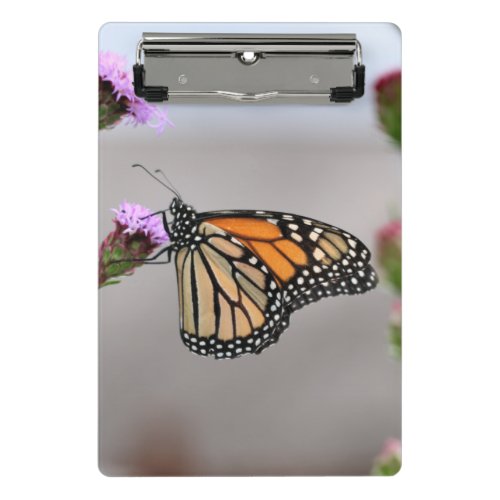 Monarch  pocket folder mini clipboard