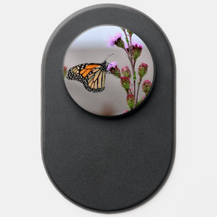 Monarch  PopSocket