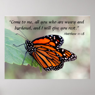 Monarch resting Matthew 11:28 Poster