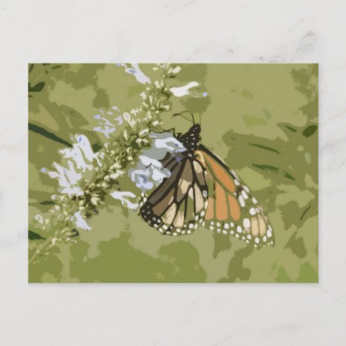 Monarch  Salvia Postcard