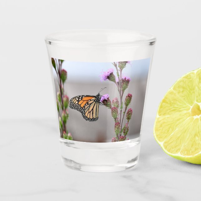 Monarch Shot Glass (Front)