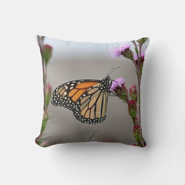 Monarch Throw Pillow (Front)