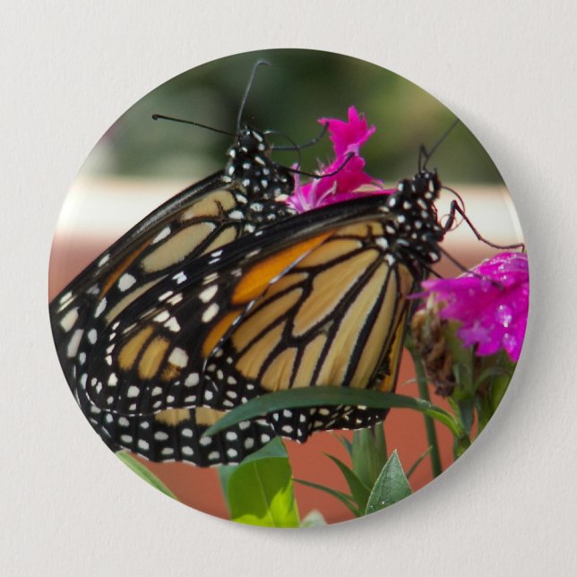 Monarch Twins #1-Button Pinback Button (Front)
