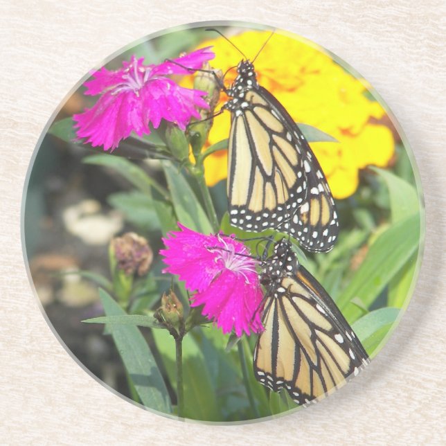 Monarch Twins #2-coaster Sandstone Coaster (Front)