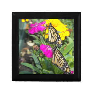Monarch Twins #2-gift box