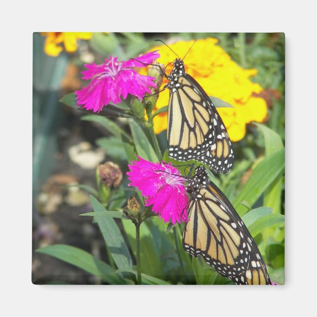 Monarch Twins #2-magnet Magnet (Front)