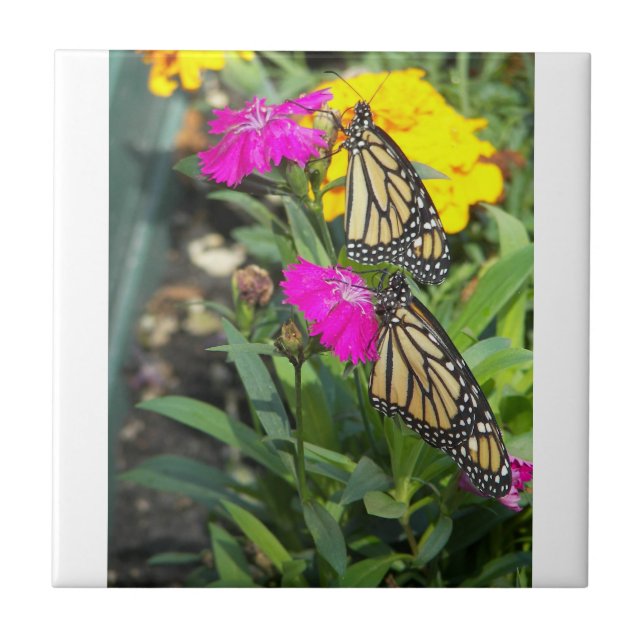 Monarch Twins #2-tile Tile (Front)