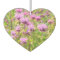 Monarda Wildflower