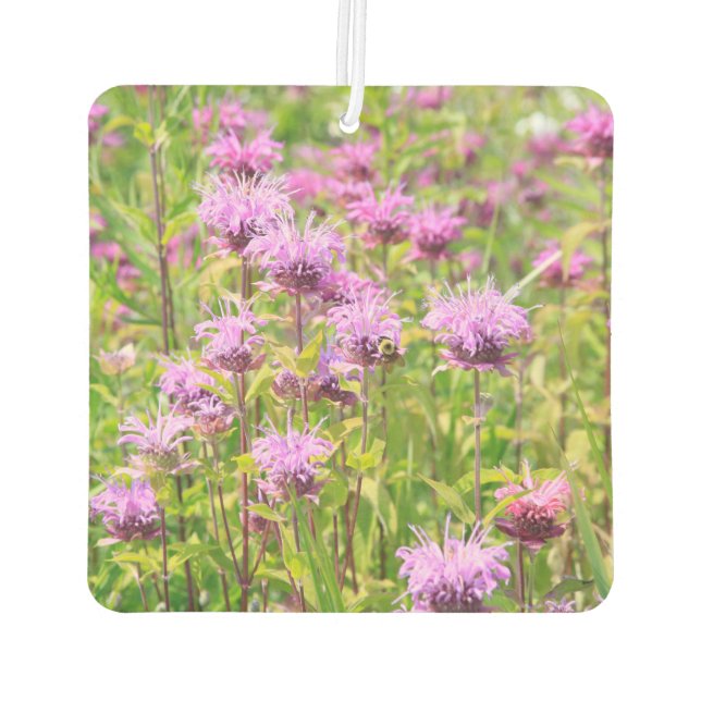 Monarda Wildflower Air Freshener (Back)