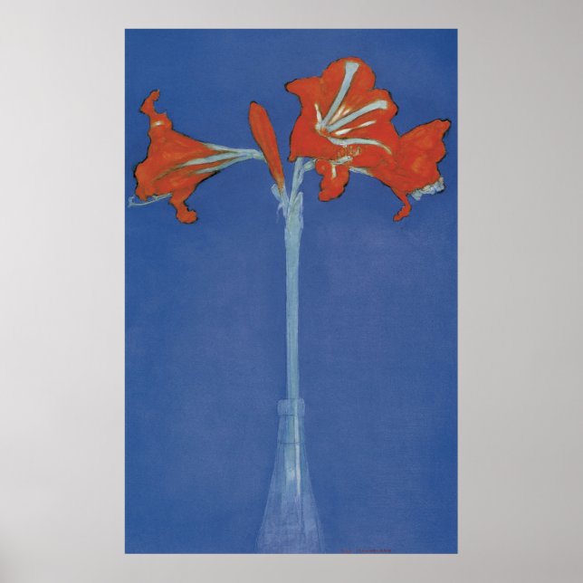 Mondrian Amaryllis in a Flash Poster (Front)