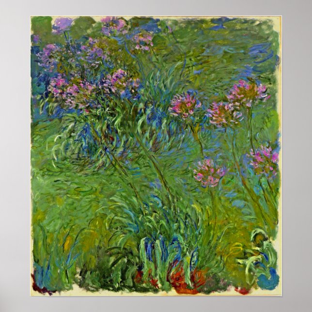 Monet - Agapanthus Flowers 1917 Poster (Front)