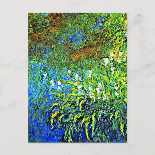 Monet - Iris at the Sea Rose Pond, famous painting Postcard (Front)