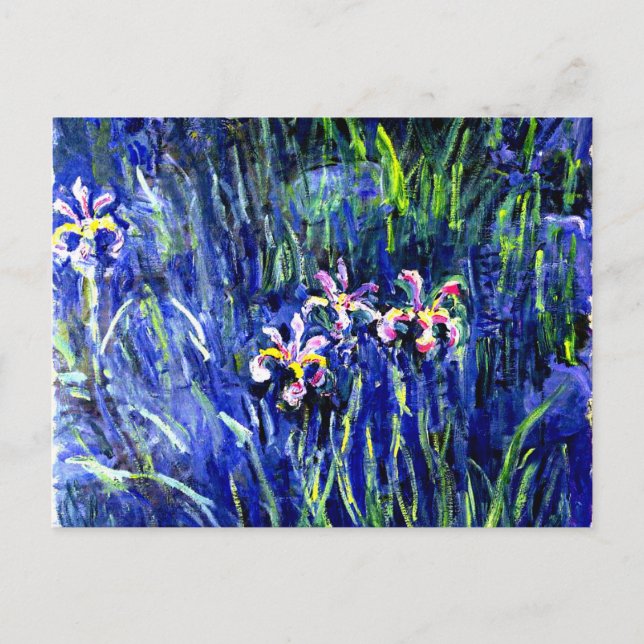 Monet - Irises Postcard (Front)