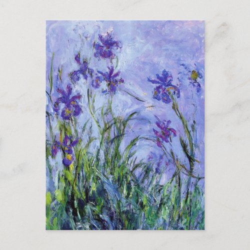 Monet Lilac Irises Postcard