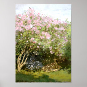 Monet - Lilacs in the Sun Poster