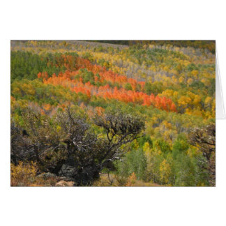 Monet Moment Cards