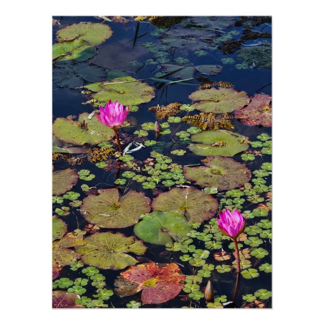Monet's Garden Poster (Front)