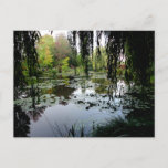 Monet's Lily Pond, Giverny, France Postcard<br><div class="desc">Photograph of Claude Monet's actual lily pond in Giverny,  France in September.</div>