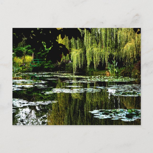 Monet's Lily Pond with Willows, Giverny, France Postcard (Front)