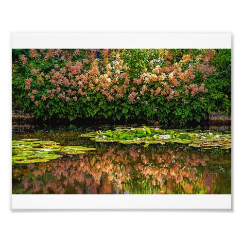 Monets Water Lilies Photo Print