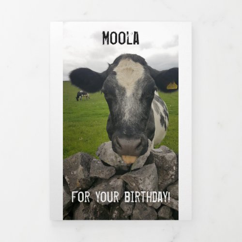 Money Birthday card - Flap folds around money