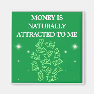 Money is Naturally Attracted To Me Magnet