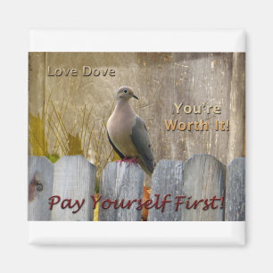 Money Magnet Pay Yourself First