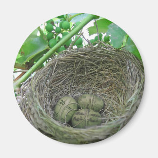 Money Nest Eggs Magnet