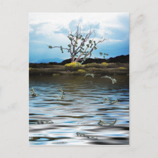 Money Tree on a Windy Day Postcard