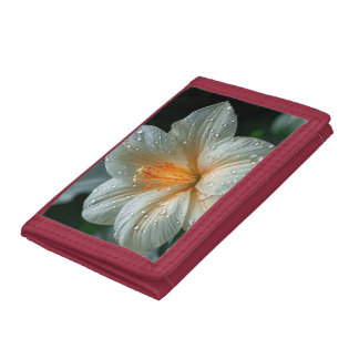 Money wallet in flowers design