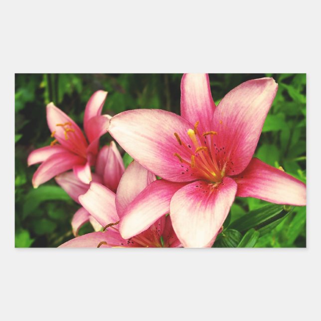 Moneymaker Lily Rectangular Sticker (Front)