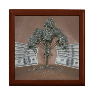 moneytree gift box