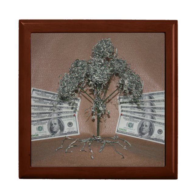 moneytree gift box (Front)