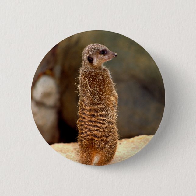 Mongoose10 Button (Front)