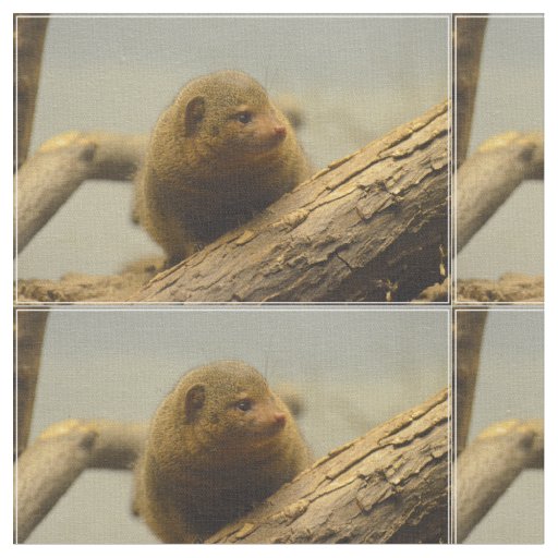 Mongoose a Tree Branch Fabric