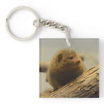 Mongoose a Tree Branch Keychain