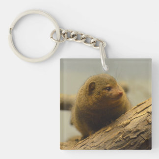 Mongoose a Tree Branch Keychain