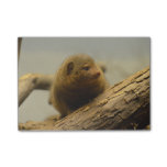 Mongoose a Tree Branch Post-it Notes