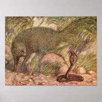 cartoon mongoose vs cobra