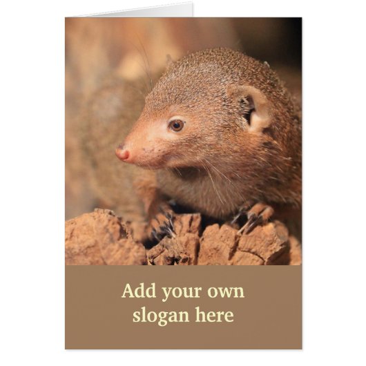 Mongoose Photo to Customize Yourself Cards (Front)