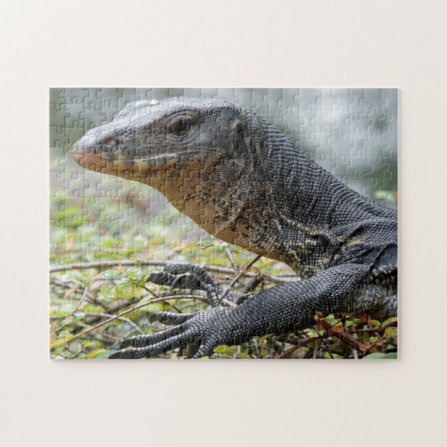 Monitor Lizard Jigsaw Puzzle (Horizontal)
