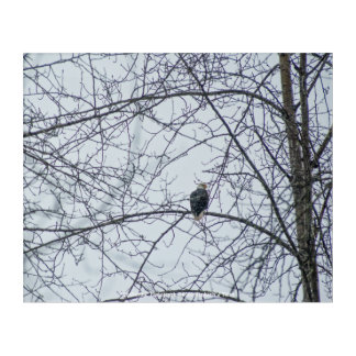 Monitoring Acrylic Print