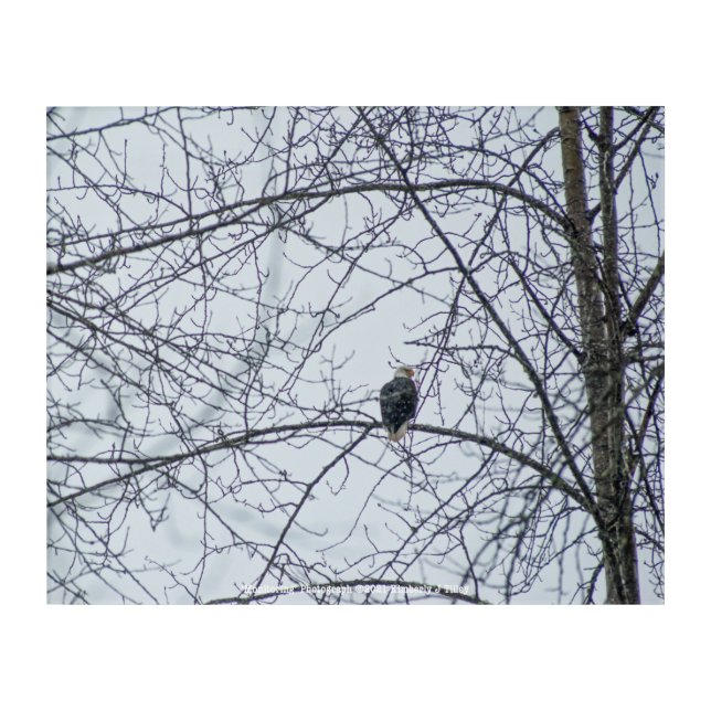 Monitoring Acrylic Print (Front)