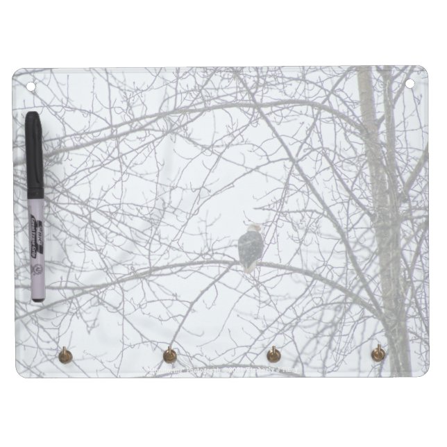 Monitoring Dry Erase Board With Keychain Holder (Front)
