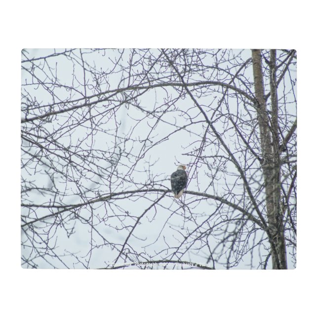 Monitoring Metal Print (Front)