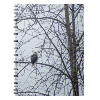 Monitoring Notebook