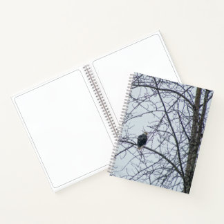 Monitoring Notebook