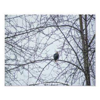 Monitoring Photo Print